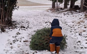 Ab in die Winterpause!