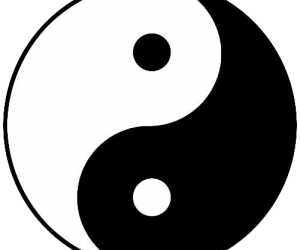 Diplomausbildung – TCM Ernährungsenergetik